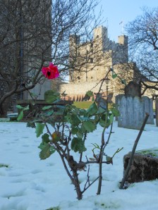 Detail of Rochester Cathedral (foreground) with Rochester Castle (background)